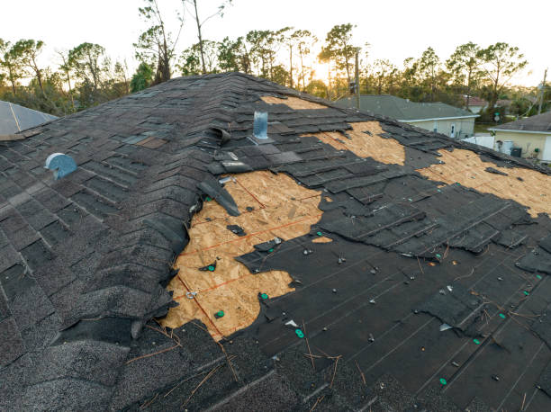 Best Cold Roofs  in Dalzell, SC